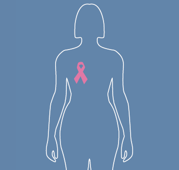 Breast cancer factheets logo