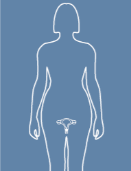 Cervical cancer factheets logo