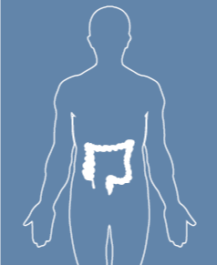 Colorectal cancer factheets logo