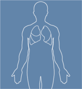 Lung cancer factheets logo