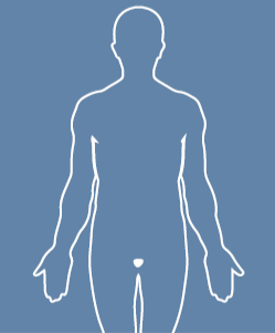 Prostate cancer factheets logo