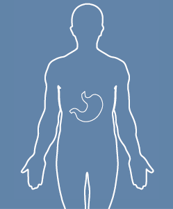 Stomach cancer factheets logo